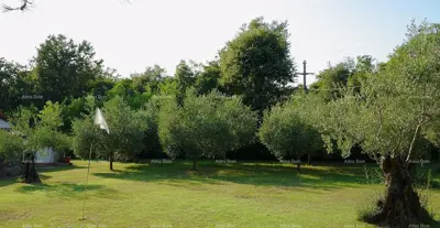 UMAG, Haus, 144 m², mit großem Garten und Sommerküche, komplett renoviert! - 18
