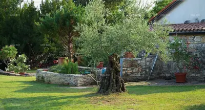 UMAG, Haus, 144 m², mit großem Garten und Sommerküche, komplett renoviert! - 17