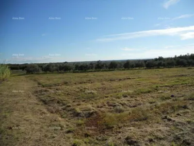 Zemljište 5 360 m², Rogovići kod Tara, mirna lokacija