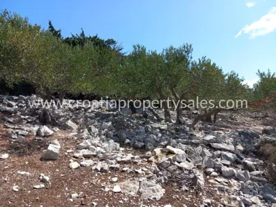 Zemljište, Brač, 36 000 m², 280 000 € - 8