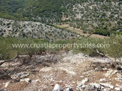 Zemljište, Brač, 36 000 m², 280 000 € - 6