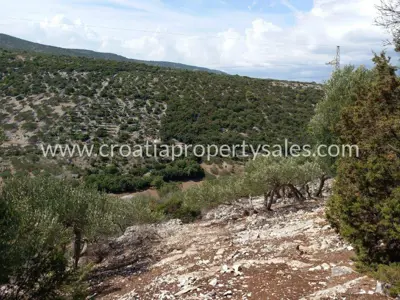 Zemljište, Brač, 36 000 m², 280 000 € - 7