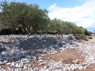Zemljište, Brač, 36 000 m², 280 000 € - 10