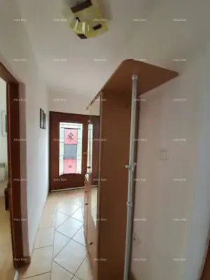 Kuća 5 apartmana, Klenovica, pogled na more i vrt - 16