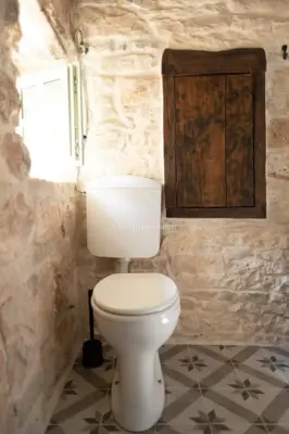 Stone house 100 m², Svetvinčenat - renovated and furnished - 22