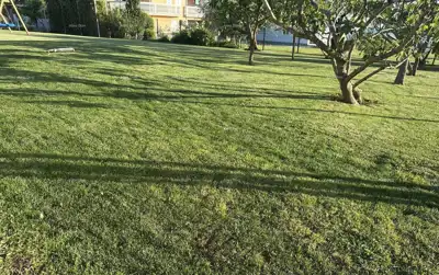 Lovrečica – građevinsko zemljište 614 m², samo 60 m od mora - 6