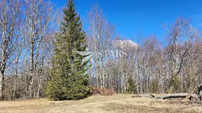 Building land 2,050 m², Delnice - on the edge by the forest - 5