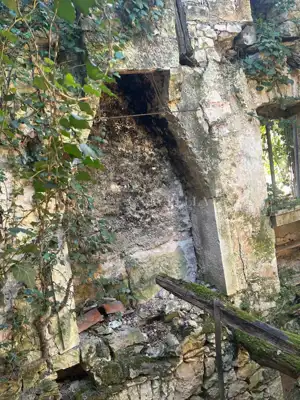 Građevinsko zemljište 637 m², Šumber - starina na parceli - 13