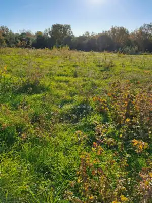 Poljoprivredno zemljište 21.000 m², Štokovci - mirna lokacija - 2