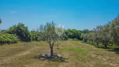 Kuća 350 m², Umag - velika okućnica 4.800 m² - 16