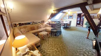 Stan 156 m², Britanac, pogled na gornjogradske vrtove