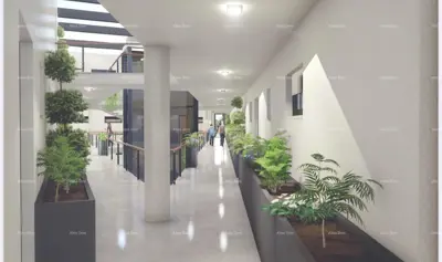 Gewerberaum, Poreč, Erdgeschoss der zentralen Einheit und Pool - 9