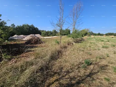 Zemljište 2 492 m², Žminj, uz cestu - 5