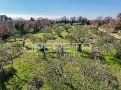 Građevinsko zemljište, Vabriga, blizu mora i otvoren pogled - 13