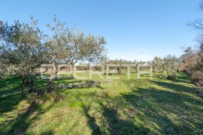 Građevinsko zemljište, Vabriga, blizu mora i otvoren pogled - 2