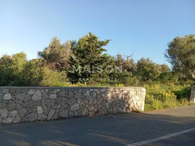 Bauland 714 m², Jakišnica - in Meeresnähe - 3