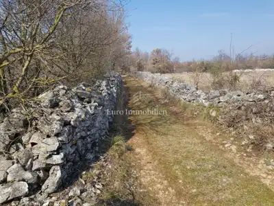 Building plot 5,404 m², Smoljanci - flat and regular in shape - 8