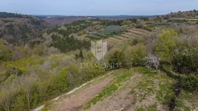 Istra, Grožnjan, plot with panoramic sea views! - 6