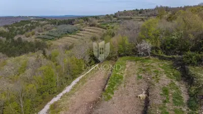 Istra, Grožnjan, plot with panoramic sea views! - 5