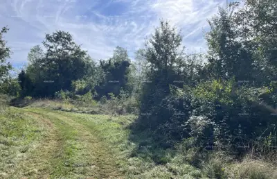 Steinhaus 86 m², Sveta Lucija bei Oprtlj, Grundstück 1.600 m² - 8