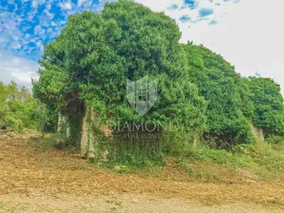 Građevinsko zemljište 1.035 m², Savudrija - mirna ulica - 2