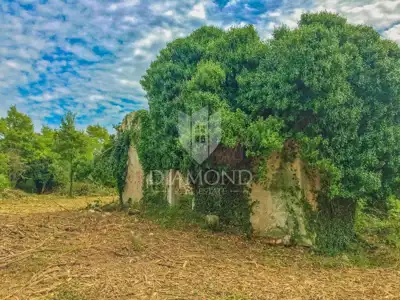 Građevinsko zemljište 1.035 m², Savudrija - mirna ulica - 7