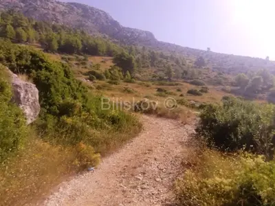 Landwirtschaftsfläche, Hvar - Sveta Nedjelja, Blick auf das offene Meer - 2