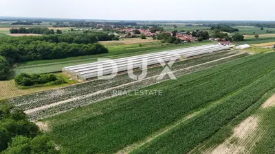 Grundstück zum Kauf in Pitomača - 14