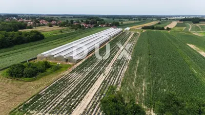 Grundstück zum Kauf in Pitomača - 9