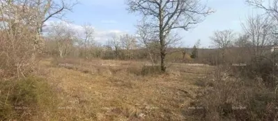 Građevinsko zemljište 1 180 m², Grožnjan - mirna lokacija