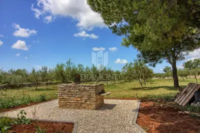 Vila 399 m², Vodnjan - bazen i maslinik - 11