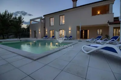Vila 399 m², Vodnjan - bazen i maslinik - 15