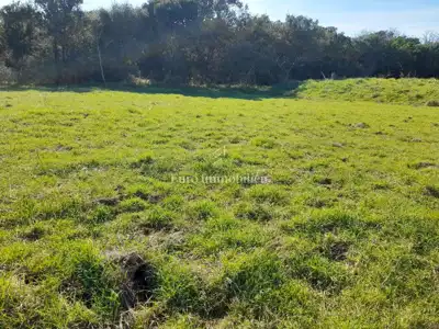 Agricultural land 26,000 m², Štokovci - access road