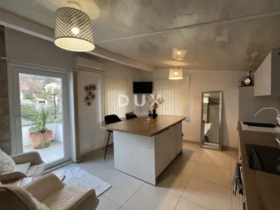 House 380 m², Kastav - 4 apartments and commercial space - 16