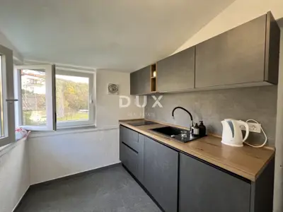 House 380 m², Kastav - 4 apartments and commercial space - 20