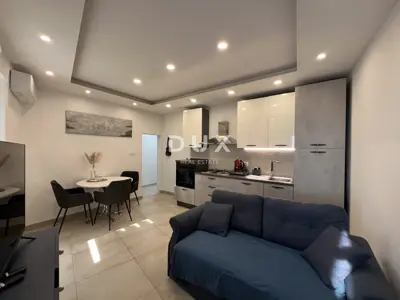 House 380 m², Kastav - 4 apartments and commercial space - 11
