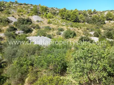 Agricultural land, Otok Brač - sea view - 5