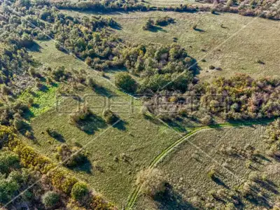 Landwirtschaftsfläche 67.900 m², Marčana - Zufahrtsweg - 5