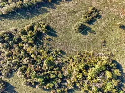 Landwirtschaftsfläche 67.900 m², Marčana - Zufahrtsweg - 2