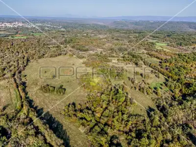 Landwirtschaftsfläche 67.900 m², Marčana - Zufahrtsweg