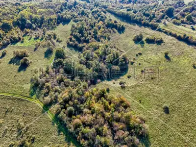 Landwirtschaftsfläche 67.900 m², Marčana - Zufahrtsweg - 4