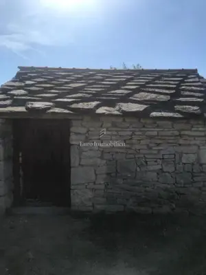 Poljoprivredno zemljište 24.765 m², Benkovac - maslinik - 2