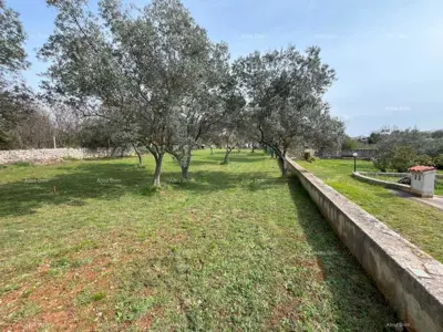 Baugrundstück 1 336 m², Peroj, in der Nähe des Meeres - 4