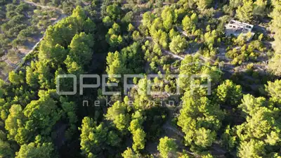 Landwirtschaftliches Grundstück 602 m², Vela Luka - Meerblick - 21