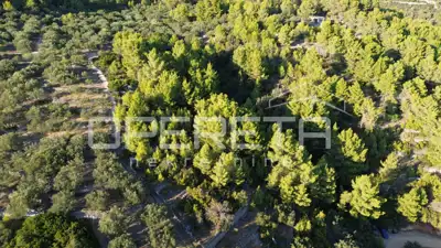 Landwirtschaftliches Grundstück 602 m², Vela Luka - Meerblick - 12