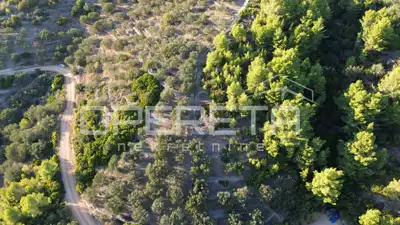 Landwirtschaftliches Grundstück 602 m², Vela Luka - Meerblick - 14