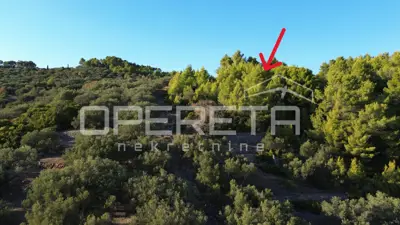 Landwirtschaftliches Grundstück 602 m², Vela Luka - Meerblick - 2