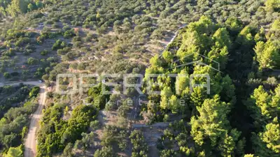 Landwirtschaftliches Grundstück 602 m², Vela Luka - Meerblick - 19