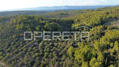 Landwirtschaftliches Grundstück 602 m², Vela Luka - Meerblick - 20