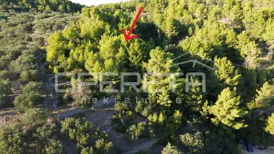 Landwirtschaftliches Grundstück 602 m², Vela Luka - Meerblick - 3